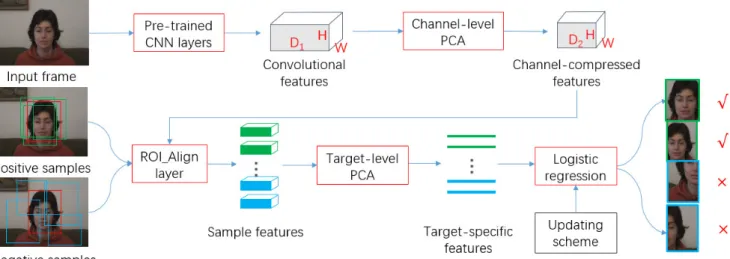 Fig. 1 Proposed appearance model with target-specific feature extraction.