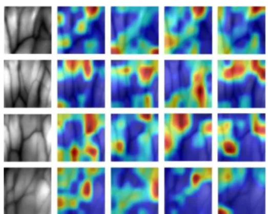 Fig. 2 The visualization results of feature maps of pool5 layer.