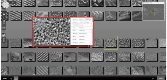 Table 1 Representative inventory information attached to SEM images in the biomimetics image retrieval platform.
