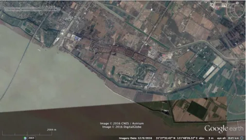 Figure 9. Same location as Figure 8, Dongtan in 2016 with golf courses and villas (Source: 