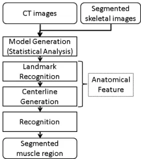 Fig. 1 Processing flow of the muscle recognition.