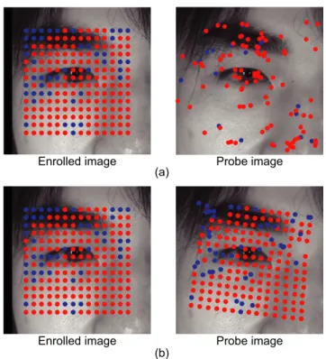 Fig. 3 Correspondence matching examples for two periocular images of the same person (genuine pair) using m-SIFT features matching (a) and using PB-CM (b)