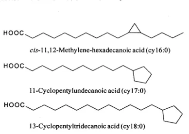 Fig. 2. Structur es of  cyclic  fatty  acids  of Sol ieria  pacifi ca