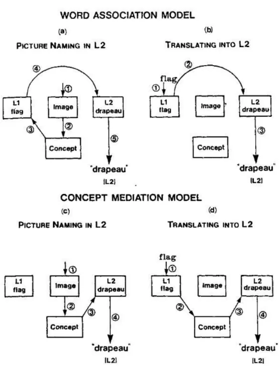 図 1- 4 Potter et al. (1984) における翻訳課題と絵画命名課題の処理過程の違いに関する説明 (Potter et al., 1984 より )