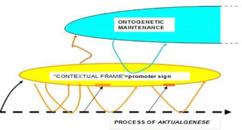 Figure 4 Relation between ontogenesis, mesogenesis, microgenesis (Aktualgenese)    In  figure  4,  the  dash  line  on  the  bottom  expresses  the  process  of  microgenesis  (in  German,  Aktualgenese),  ellipse  of  the  middle  expresses  mesogenetic  