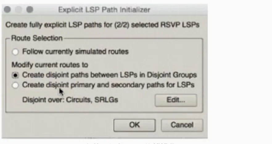 図 4：Cisco MATE Live に表示された LSP の分離結果