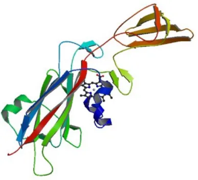 Figure 1.3: The tertiary structure of cytochrome f (PDB ID: 1CTM).