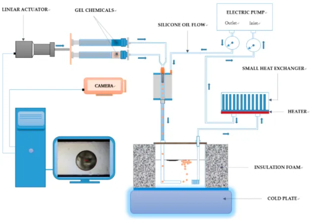 Figure 6. Schematic of Apparatus for Generating the Thermosensitive Gels 
