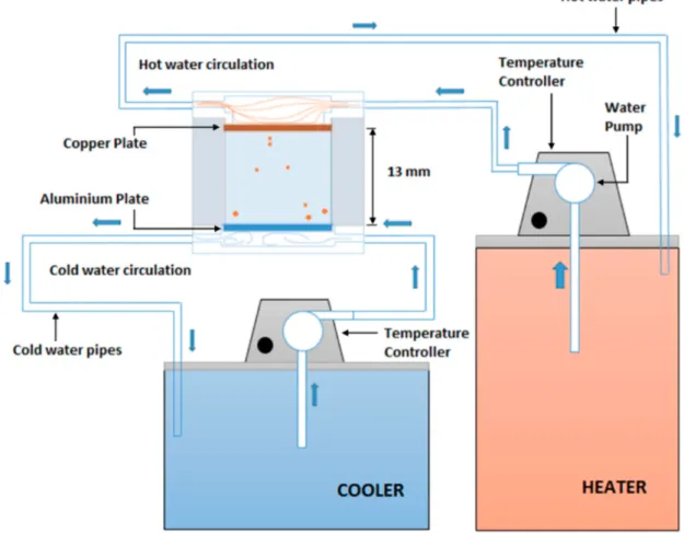 Figure 7. Schematic of the Apparatus for Mechanical Observations 
