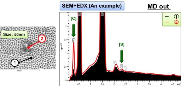Fig. 2-27 Example of composition analysis of the particle at the outlet of the  Membrane Degas filer