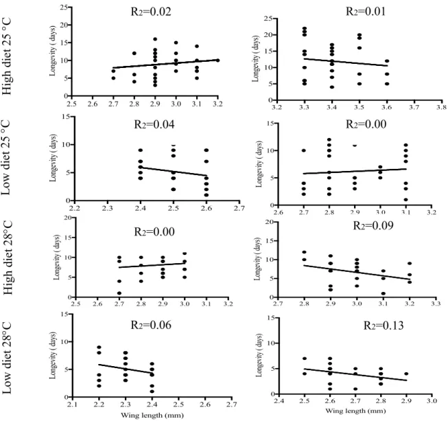 Figure 10. Relationship between longevity (days) and body size (wing length) of Ae. albopictus and Ae