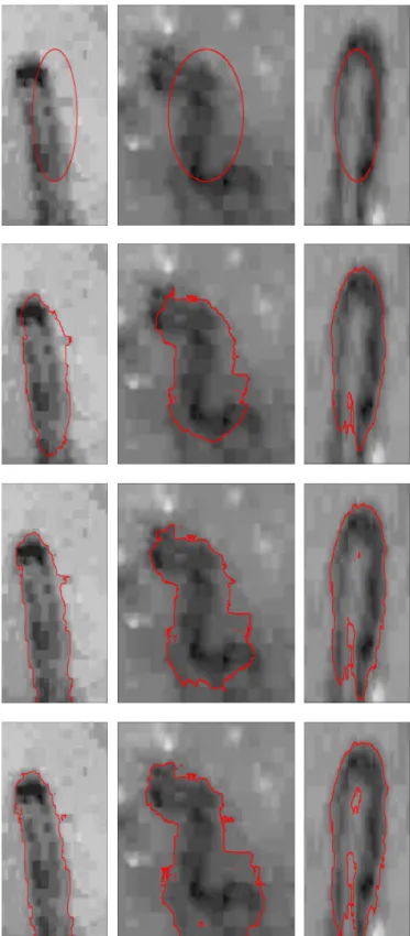 Figure 4.2: The evolution of the given curve (red) on the given three different images to detect the edge of the capillary