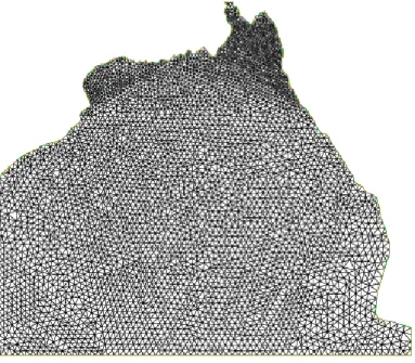 Fig. 1.4 A triangular mesh for the Bay of Bengal