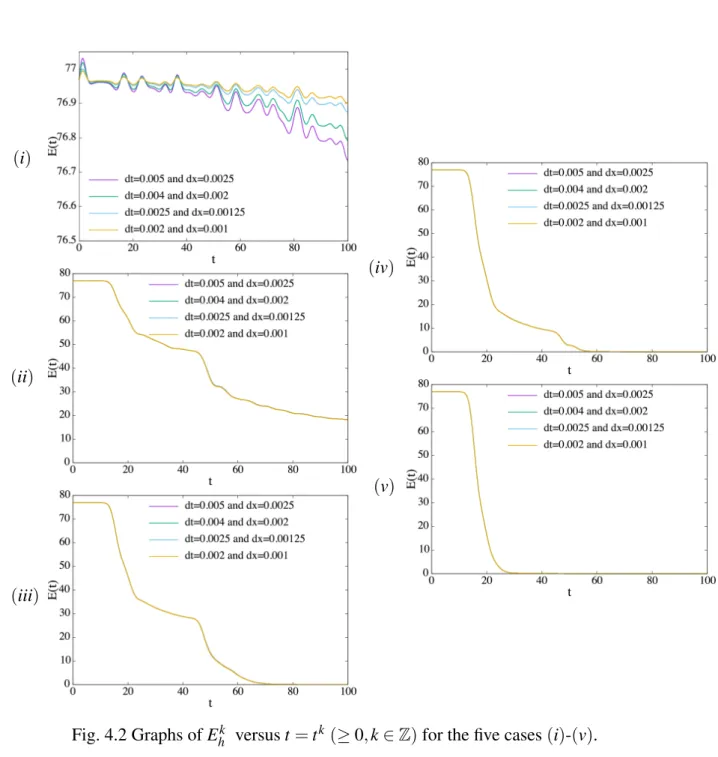 Fig. 4.2 Graphs of E h k versus t = t k (≥ 0, k ∈ Z ) for the five cases (i)-(v).