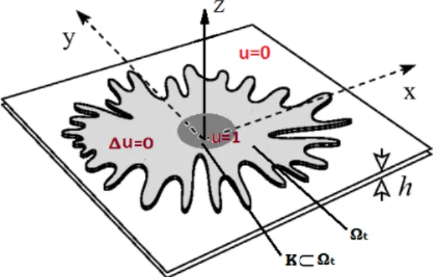 Figure 2.1: Hele-Shaw cell for problem (HS)