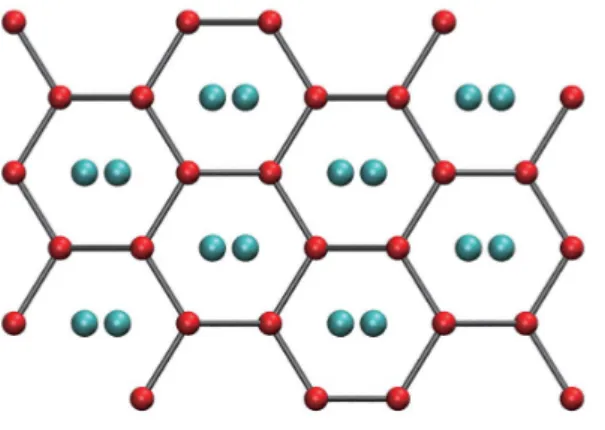 Fig. 2.3. MH-III structure [64].