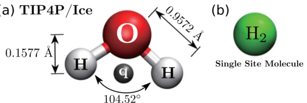 Fig. 3.1. Molecule model for (a) water framework, and (b) guest molecule