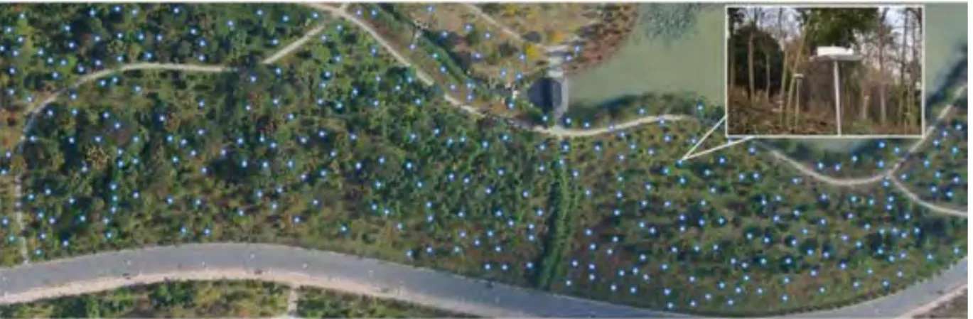 Figure 1.1. Early Detecting forest fires using Wireless Sensor Networks 