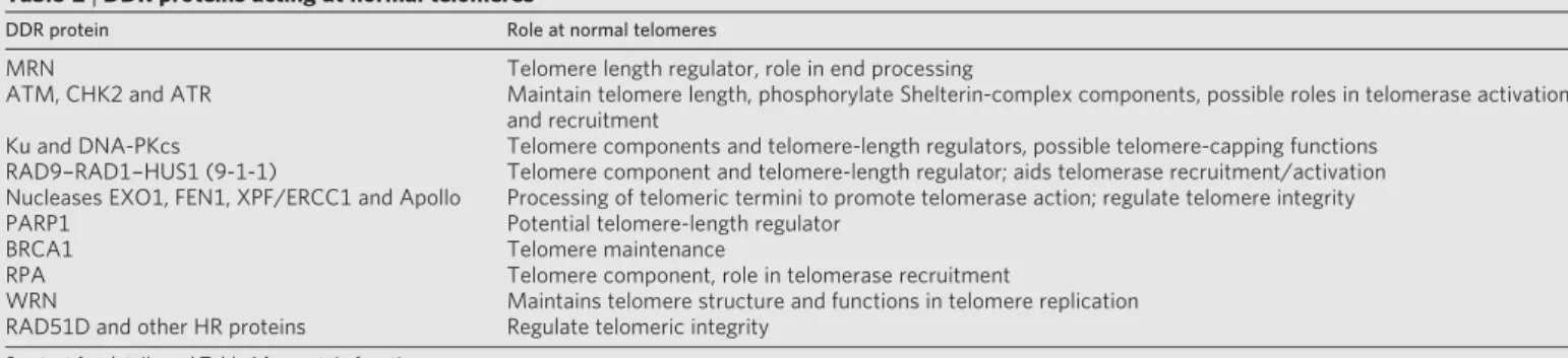Table 2 | DDR proteins acting at normal telomeres