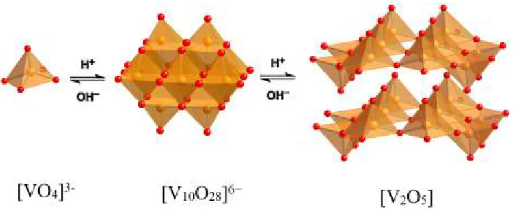Figure 8 The effect of pH on the anions and oxides in vanadium (V) chemistry   1.3 Mixed valence POMs