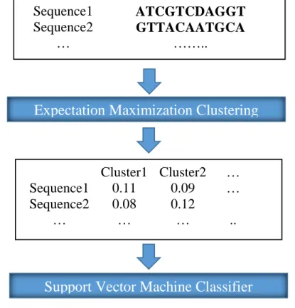 Figure 2.1. The EMSVM model proposed by Maleki et al. [45] 