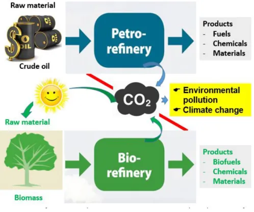 Figure 1.1 Biorefinery is an alternative green process to replace the petrorefinery 