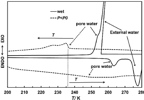 Figure 1-1 DSC curves of D 2 O fully and partially confined in MCM-41(C22) . 
