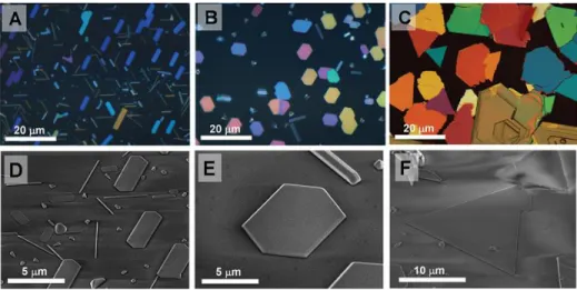 Figure 1.10.  Morphological characterizations of lead halides nano-platelets as-grown on  muscovite  mica  substrate:  a)  Optical  (above)  and  SEM  (below)  images  of  lead  halides: 