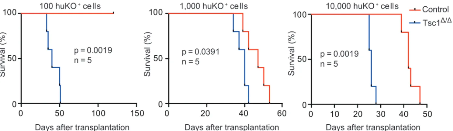Figure  2.  Tsc1  deletion  leads  to  GIC  expansion  in  vivo.  Kaplan-Meier  analysis of survival of recipient mice inoculated with 100, 1,000 or 10,000  huKO +  cells that had been treated with (Tsc1 Δ/Δ ) or without (control) TAM