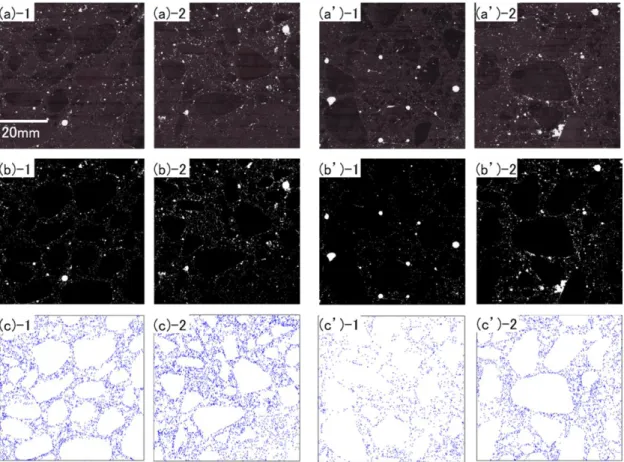 図 5-5 コンクリート中の気泡の画像解析の例（左から:C1-①，C1-②，C2-①，C2-②） 