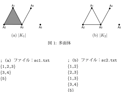 図 2: ターミナル上の出力画面 部に (a) H 0 (K 1 ) = Z 2 , (b) H 0 (K 2 ) = Z 2 , H 1 (K 2 ) = Z で与えられていることがわかる．実際 (a) ， (b) ともに連結成分は 2 つあり， (b) では 1 つの ループが頂点 A 1 , A 2 , A 3 により構成されている．なおその他の出力内容としてはバージョ
