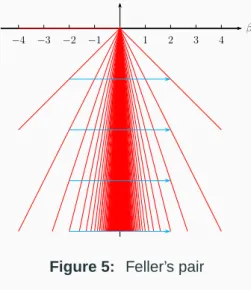 Figure 5: Feller’s pair