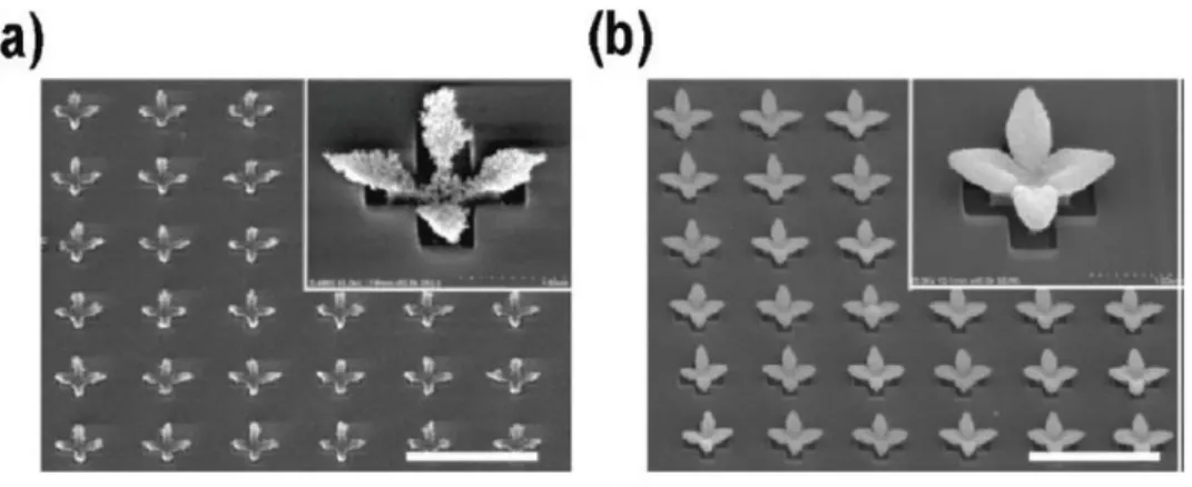 図 2 - 1 5   三 次 元 構 造 体 の 粒 子 径 依 存 性   ( a ) 粒 子 径 1 0 n m , ( b ) 粒 子 径 2 - 4 n m   ( L e e ら , 2 0 1 1 )  