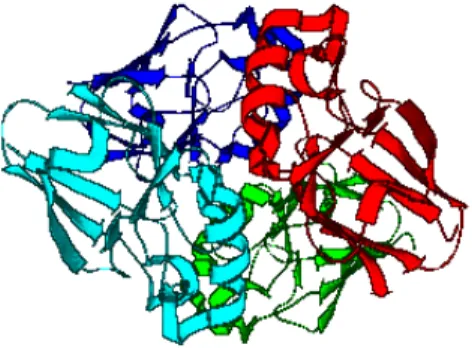 Figure 2.1: Three dimensional structure of azurin complex obtained from X-ray crystal structure of Pseudomonas Aeruginosa azurin (PDB entry : 4AZU)