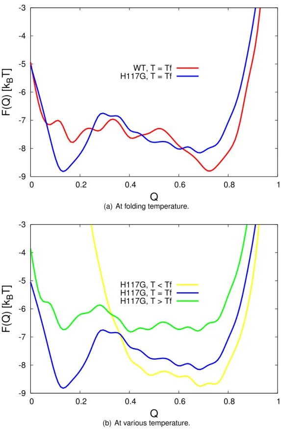 Figure 3.1: Free energy as a function of reaction coordinate Q. Comparison between mutated azurin and wild-type (a) shows a significant difference on its double well minimum