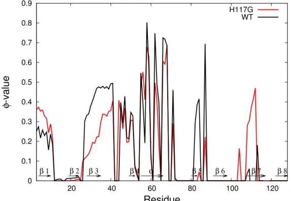 Figure 3.2: Comparison of Φ-value for each residue between mutated azurin and wild-type azurin at T = T f .