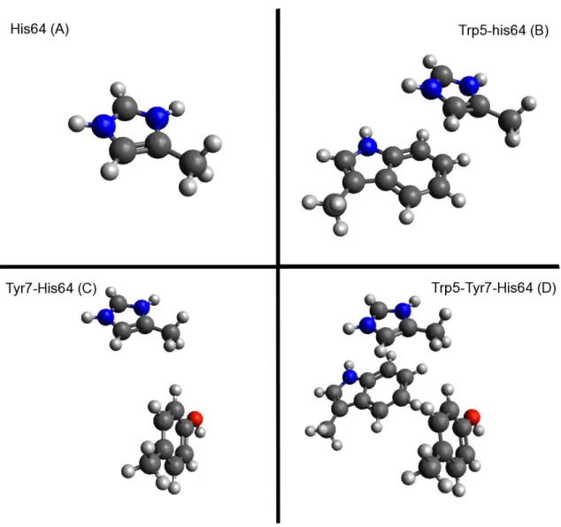 Figure 2. The constructed model structures to investigate the aromatic-aromatic interaction,  which consist of the combination of Trp5, Tyr7, and His64 