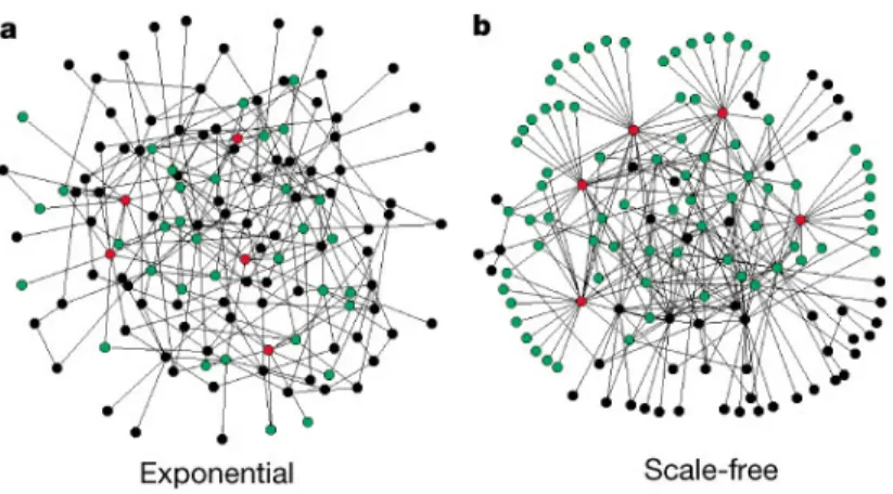 図 5: Visual illustration of the difference between an exponential and a scale-free network