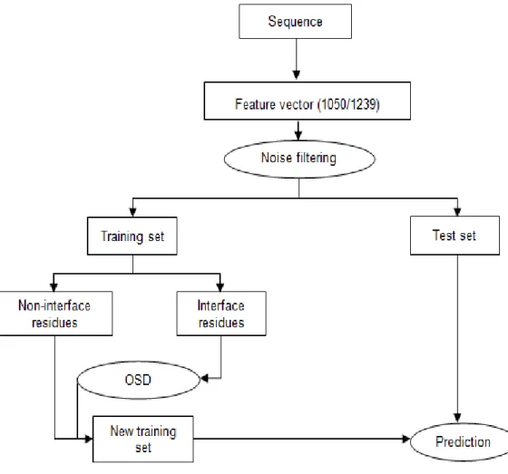 Figure 3.1 Schematic representation of our method 