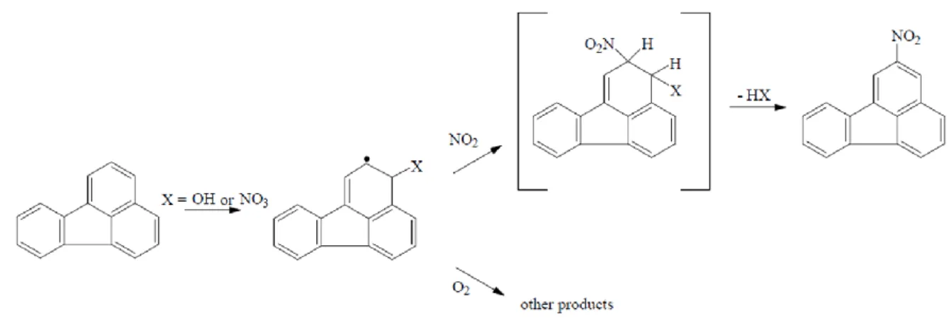 Fig. 1.3. Gas phase reaction of 2-NFR. 