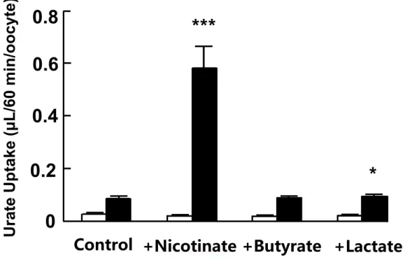 Fig. 2-3 Effect of different monocarboxylates on urate uptake by  SMCT1-URAT1 co-expressing oocytes