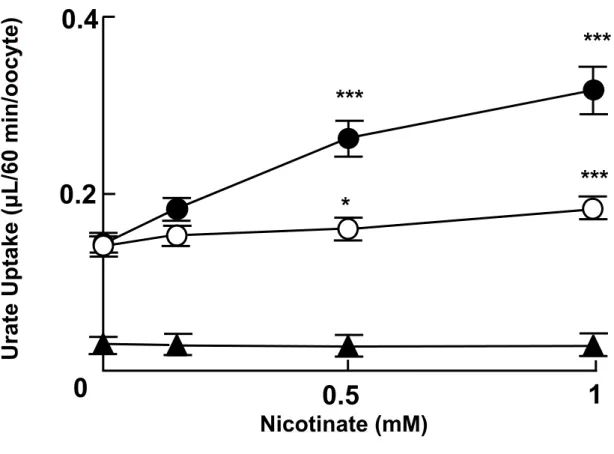Fig. 2-5 Influence of preincubation time and concentration of nicotinate on the  stimulation of urate uptake by SMCT1-URAT1 co-expressing oocytes