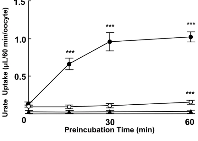 Fig. 2-5B SMCT1-URAT1 co-expressing oocytes (closed circle), oocytes  expressing URAT1 alone (open circle), or water-injected oocytes (closed  triangle) were preincubated in ND96 buffer (pH7.4) containing 1 mM sodium  nicotinate for 0, 15, 30, 60 min befor