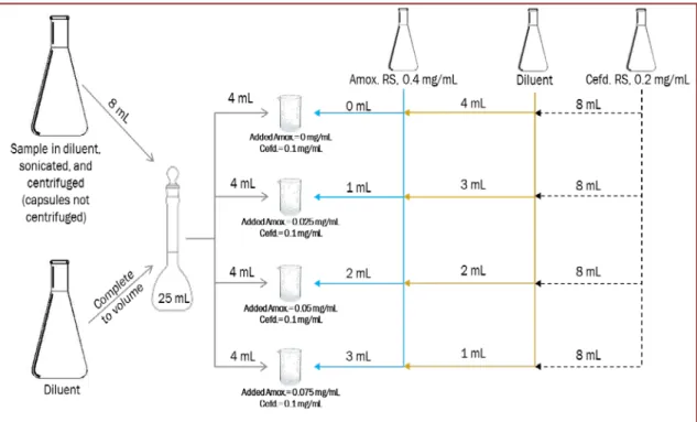 Figure 1.7.  Steps for the accuracy test. Amox = amoxicillin, Cefd = cefadroxil, RS =  reference standard.