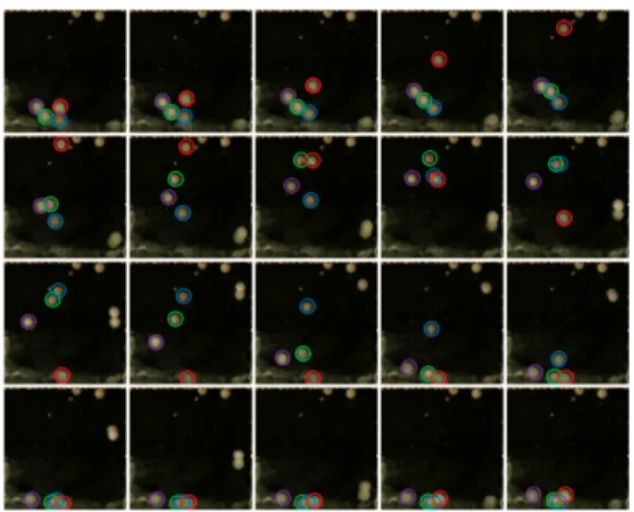 Figure 9. The Periodic Movement of Gels (Case A) in The PAANa Solution   from 28-40.67 Minutes after The Start in Increments of 40 Seconds 
