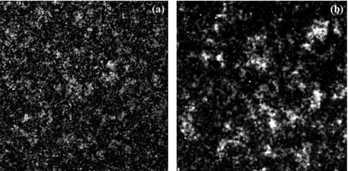 Figure 6   Experiment set- up for generating fractal speckles in the image plane.