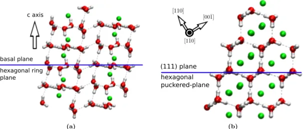 Fig. 1. Molecule model for (a) C 1 , and (b) C 2 system. Green spheres describe hydrogen guest.