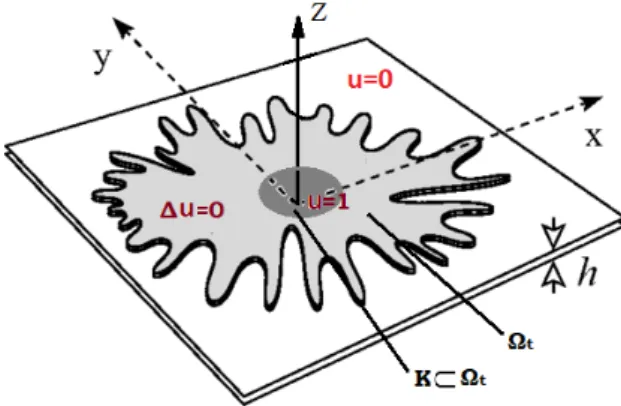 Figure 1: Hele-Shaw cell for problem (HS)