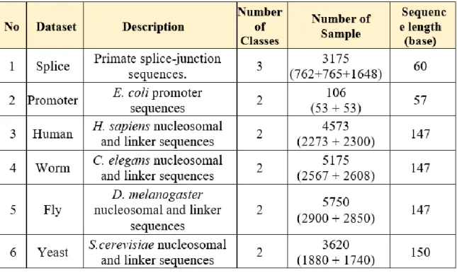 Table 1. Description of datasets 