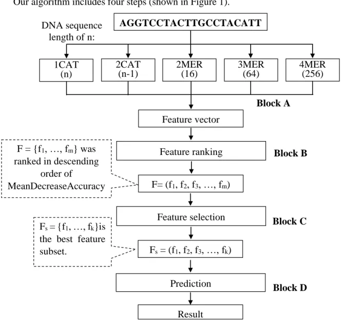 Figure 1. The flowchart of the proposed algorithm. 